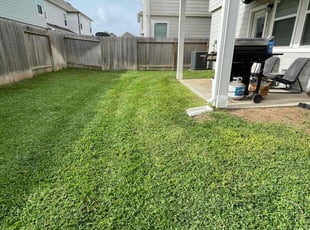 Suparna D.'s lawn care service result