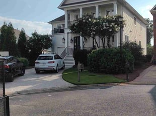 Rocco C.'s turf maintenance service result