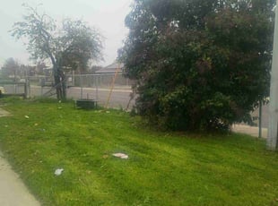 Linda J.'s turf maintenance service result