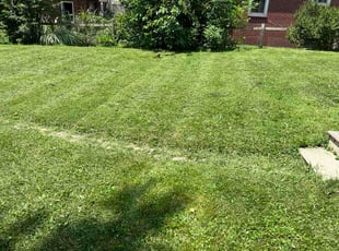 Juanita W.'s grass cutting service result