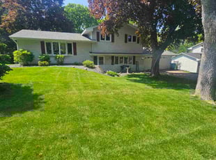 Taofik S.'s turf maintenance service result