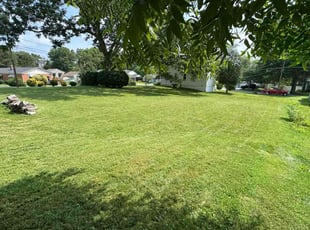 Penny W.'s lawn care services service result
