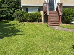 Chays D.'s lawn care service result