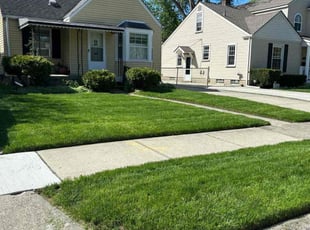 Princr O.'s turf maintenance service result