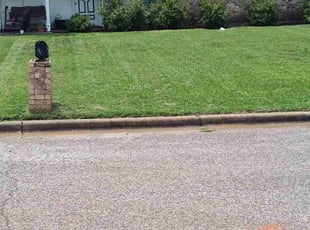 Monyel E.'s lawn care service result