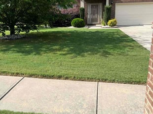 George N.'s lawn maintenance service result