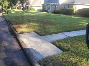 Ken M.'s grass maintenance service result