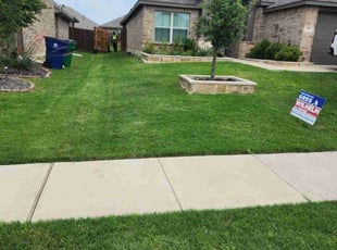 Dianne U.'s turf care service result