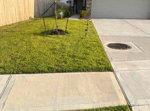 Davey H.'s grass cutting service result