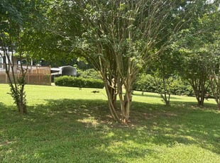 Kecia N.'s lawn care services service result