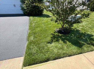 Denise H.'s lawn care services service result