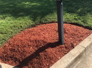 Shannon N.'s Flower Bed Weeding service result