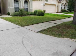 Emily B.'s turf care service result