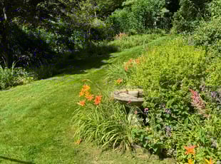 Janet P.'s grass maintenance service result
