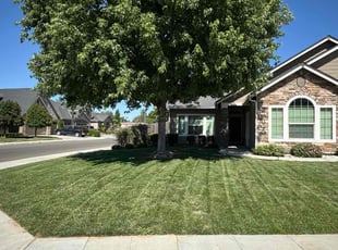 Anthony W.'s lawn service service result