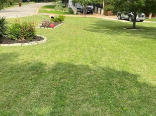 Lauren C.'s lawn care services service result