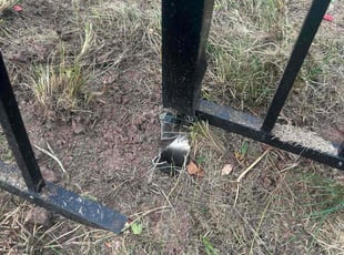 Helen M.'s grass cutting service result