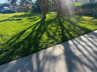 Gary M.'s grass cutting service result