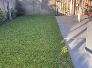 Sarah H.'s lawn care service result