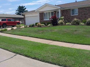 Dorothy D.'s lawn service service result