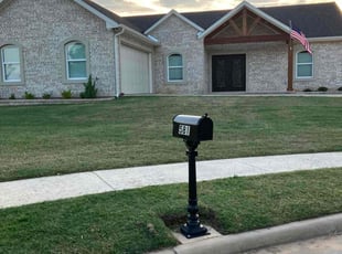 Shabsy G.'s turf maintenance service result