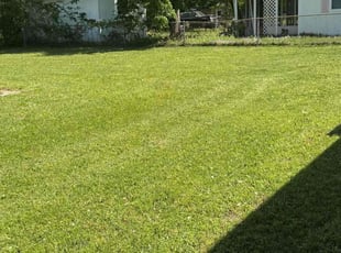 Romar C.'s lawn care services service result