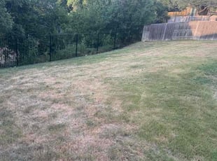 Judith L.'s Bush Trimming service result
