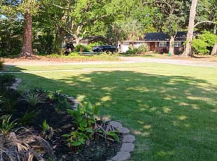 Rebecca P.'s turf care service result