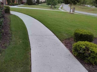 Robin L.'s lawn care services service result