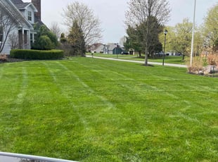 Ann G.'s turf maintenance service result