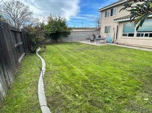 Jeremy L.'s grass maintenance service result