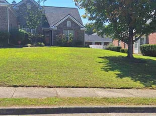 Michele B.'s lawn care services service result