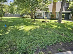 Bradford M.'s grass maintenance service result