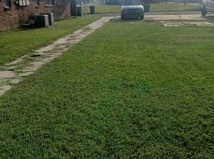 Tina S.'s lawn care service result