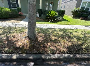 Dawson S.'s yard maintenance service result