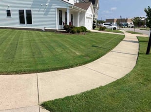 Tera P.'s lawn maintenance service result