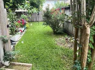Briana L.'s lawn care services service result