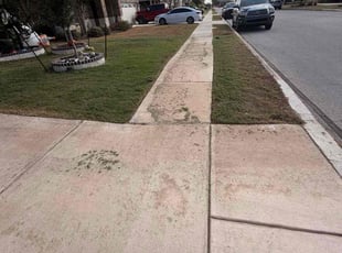 Karen W.'s lawn service service result