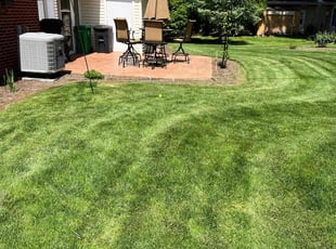 Kaye E.'s grass maintenance service result