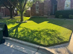 Terrance K.'s turf maintenance service result