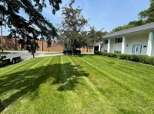 Amber P.'s lawn maintenance service result