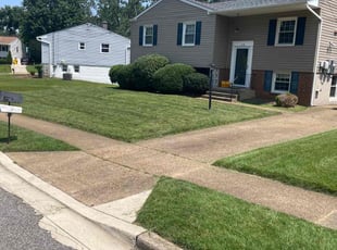 Jordan A.'s lawn service service result