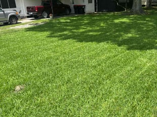 Angel B.'s turf maintenance service result