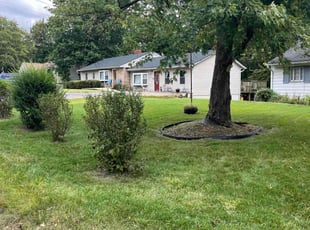 Frances K.'s lawn service service result