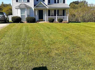 Tijuana P.'s lawn service service result