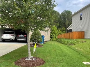 Julie H.'s lawn care service result