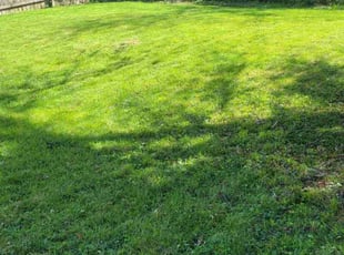 Kellie H.'s turf maintenance service result