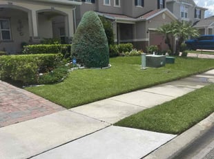 Djamel C.'s lawn maintenance service result