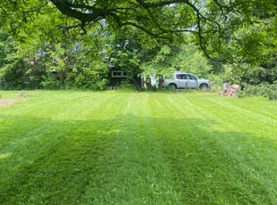 Lauri T.'s grass maintenance service result