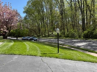Intaek H.'s grass cutting service result
